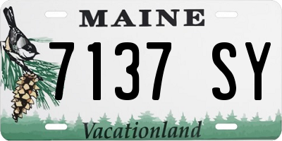 ME license plate 7137SY