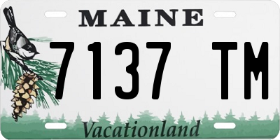 ME license plate 7137TM