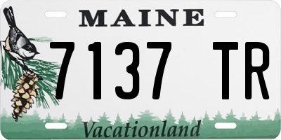 ME license plate 7137TR