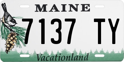 ME license plate 7137TY
