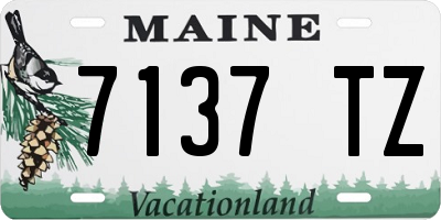 ME license plate 7137TZ