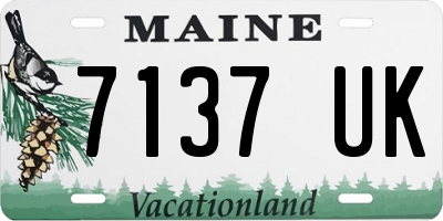 ME license plate 7137UK