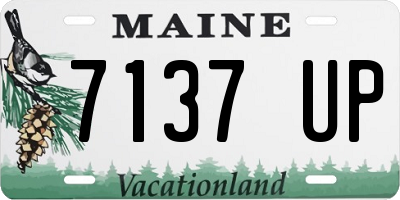 ME license plate 7137UP