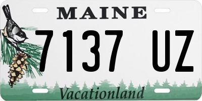 ME license plate 7137UZ