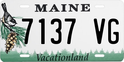 ME license plate 7137VG