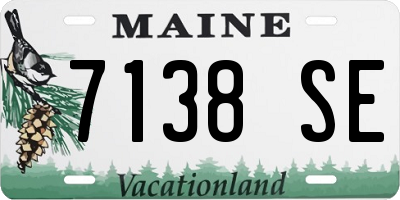 ME license plate 7138SE