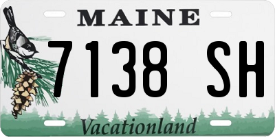 ME license plate 7138SH