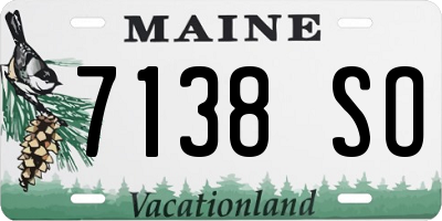 ME license plate 7138SO
