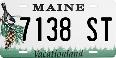 ME license plate 7138ST