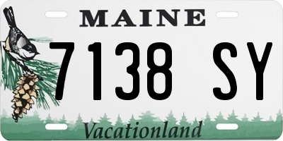 ME license plate 7138SY