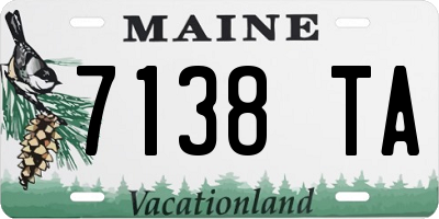 ME license plate 7138TA
