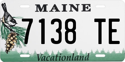 ME license plate 7138TE