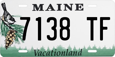 ME license plate 7138TF