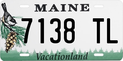 ME license plate 7138TL