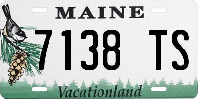 ME license plate 7138TS
