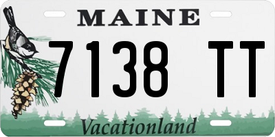 ME license plate 7138TT