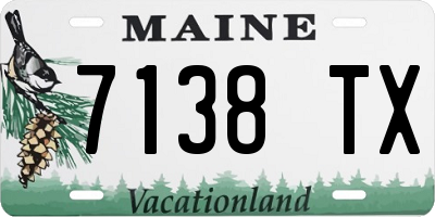 ME license plate 7138TX