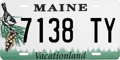 ME license plate 7138TY