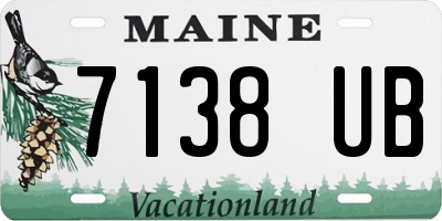 ME license plate 7138UB