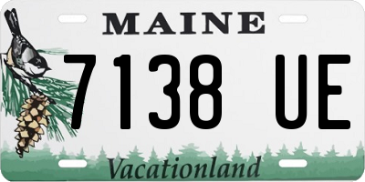 ME license plate 7138UE