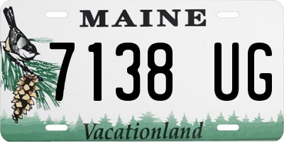 ME license plate 7138UG