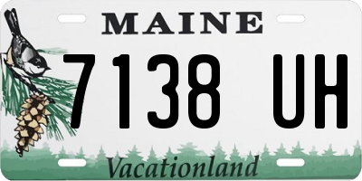 ME license plate 7138UH