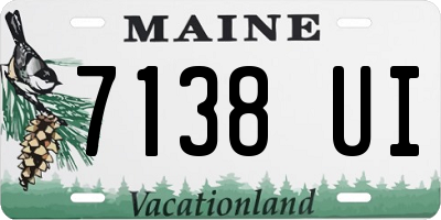 ME license plate 7138UI