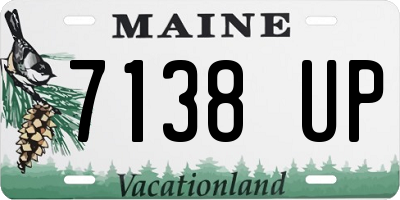 ME license plate 7138UP