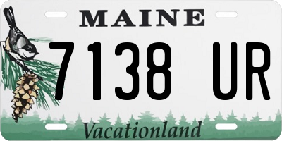 ME license plate 7138UR