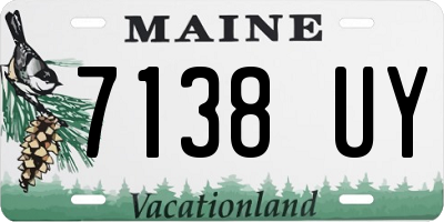 ME license plate 7138UY