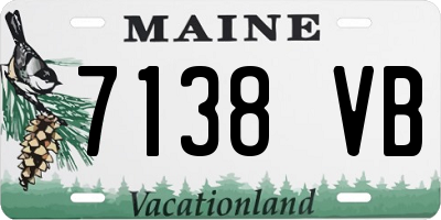 ME license plate 7138VB