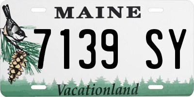 ME license plate 7139SY