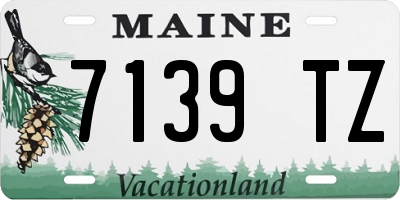 ME license plate 7139TZ