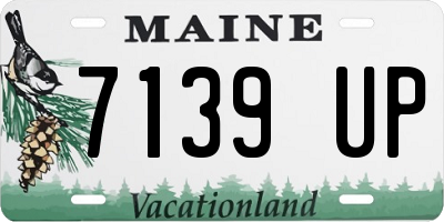 ME license plate 7139UP