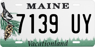 ME license plate 7139UY