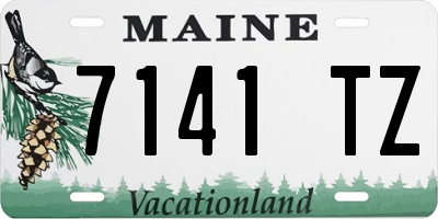 ME license plate 7141TZ