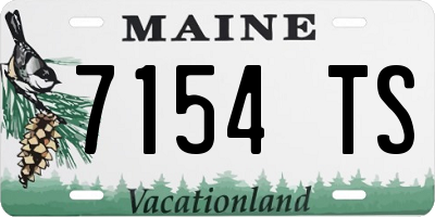ME license plate 7154TS
