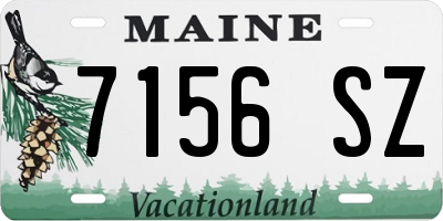 ME license plate 7156SZ