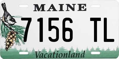 ME license plate 7156TL