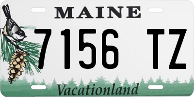 ME license plate 7156TZ