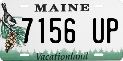 ME license plate 7156UP