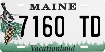 ME license plate 7160TD