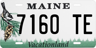 ME license plate 7160TE