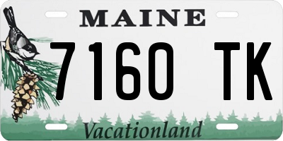 ME license plate 7160TK