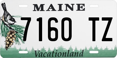 ME license plate 7160TZ