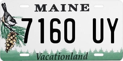 ME license plate 7160UY