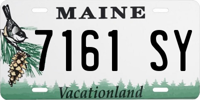 ME license plate 7161SY