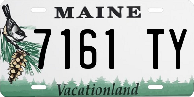 ME license plate 7161TY