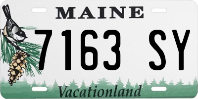 ME license plate 7163SY