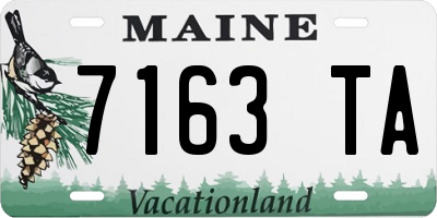 ME license plate 7163TA